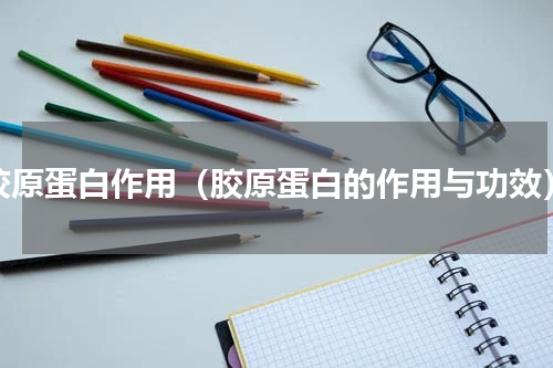 胶原蛋白作用（胶原蛋白的作用与功效）