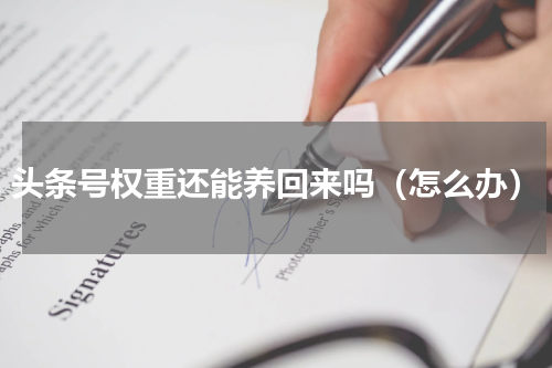 头条号权重还能养回来吗（怎么办）