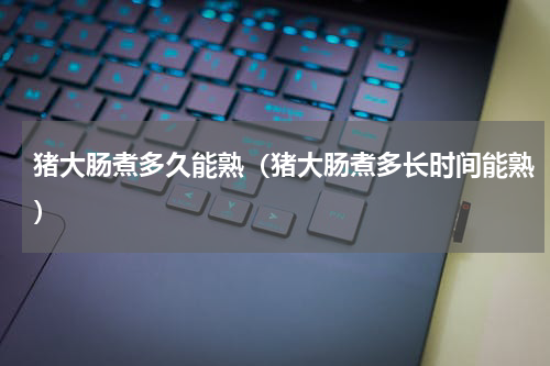 猪大肠煮多久能熟（猪大肠煮多长时间能熟）