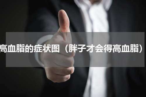 高血脂的症状图（胖子才会得高血脂）