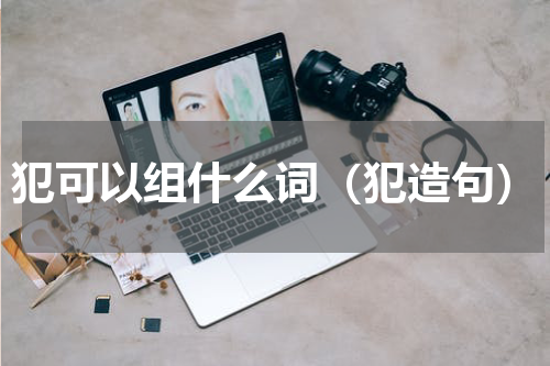 犯可以组什么词（犯造句）
