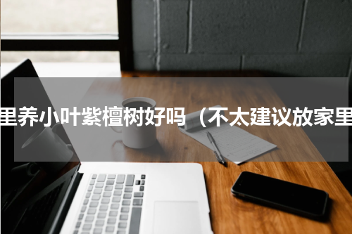 家里养小叶紫檀树好吗（不太建议放家里）