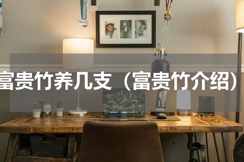 富贵竹养几支（富贵竹介绍）