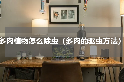 多肉植物怎么除虫（多肉的驱虫方法）