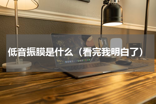 低音振膜是什么（看完我明白了）