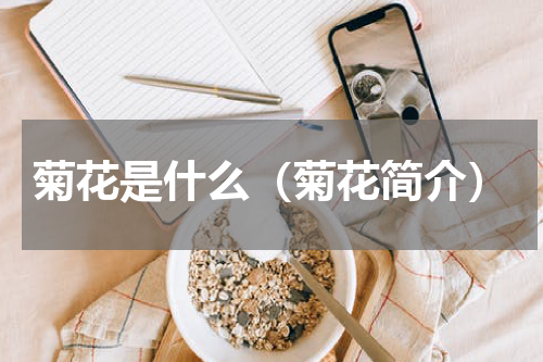 菊花是什么（菊花简介）