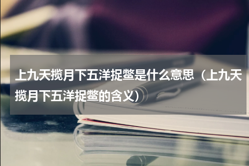 上九天揽月下五洋捉鳖是什么意思（上九天揽月下五洋捉鳖的含义）