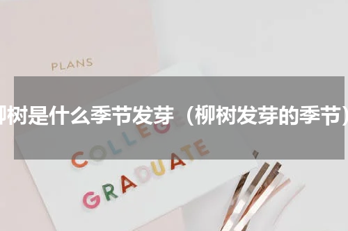 柳树是什么季节发芽（柳树发芽的季节）