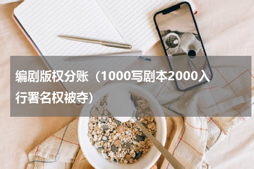 编剧版权分账（1000写剧本2000入行署名权被夺）