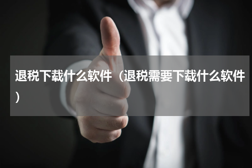 退税下载什么软件（退税需要下载什么软件）