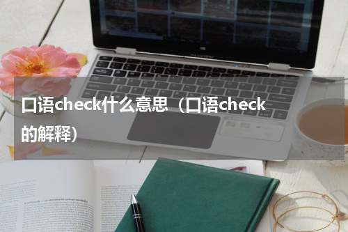 口语check什么意思（口语check的解释）
