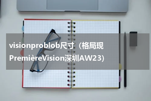visionproblob尺寸（格局现PremièreVision深圳AW23）
