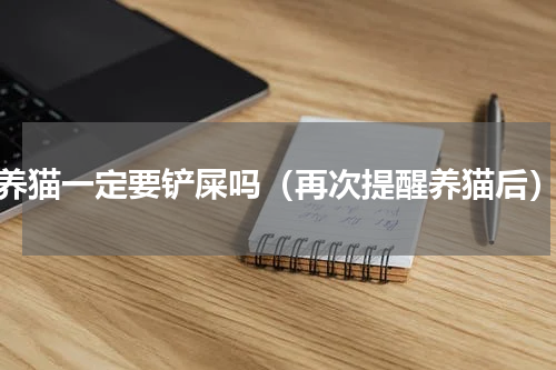 养猫一定要铲屎吗（再次提醒养猫后）