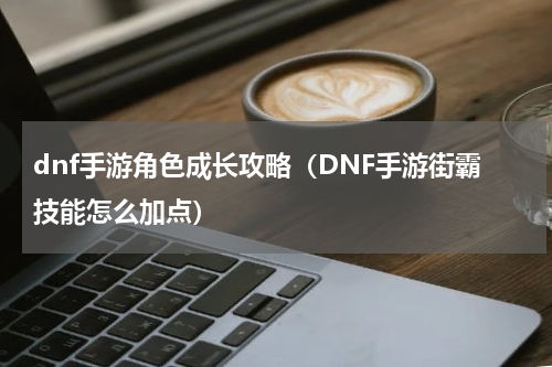 dnf手游角色成长攻略（DNF手游街霸技能怎么加点）