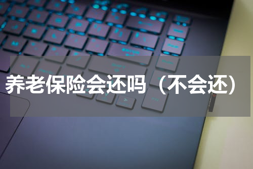 养老保险会还吗（不会还）