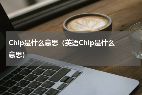 Chip是什么意思（英语Chip是什么意思）