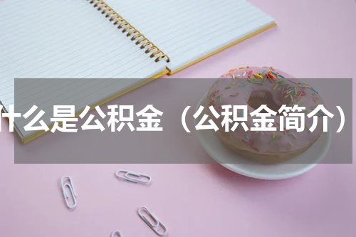 什么是公积金（公积金简介）