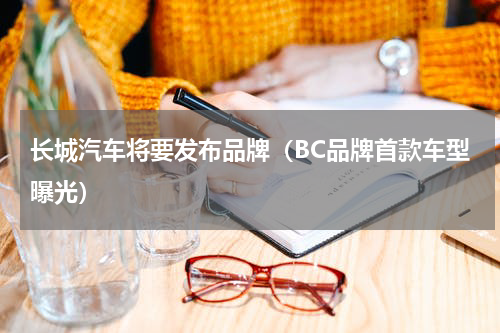 长城汽车将要发布品牌（BC品牌首款车型曝光）