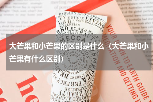 大芒果和小芒果的区别是什么（大芒果和小芒果有什么区别）