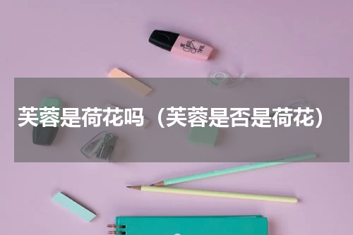 芙蓉是荷花吗（芙蓉是否是荷花）