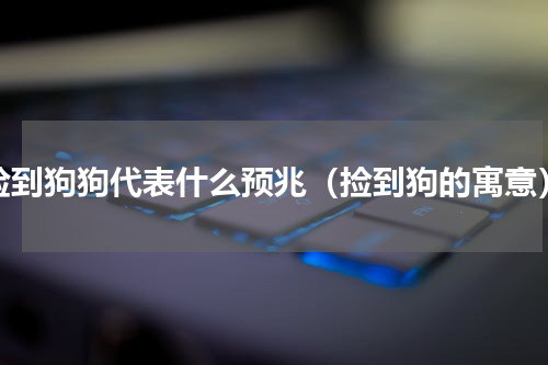 捡到狗狗代表什么预兆（捡到狗的寓意）