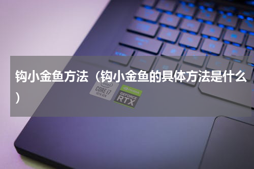 钩小金鱼方法（钩小金鱼的具体方法是什么）