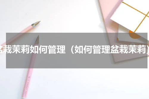 盆栽茉莉如何管理（如何管理盆栽茉莉）