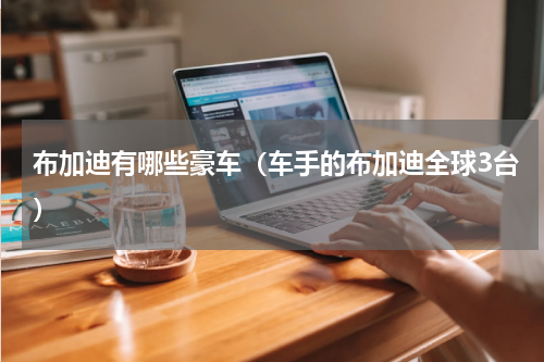 布加迪有哪些豪车（车手的布加迪全球3台）