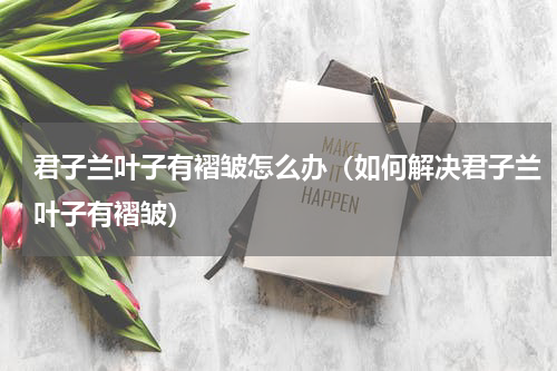 君子兰叶子有褶皱怎么办（如何解决君子兰叶子有褶皱）