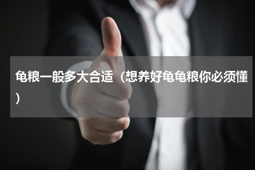 龟粮一般多大合适（想养好龟龟粮你必须懂）