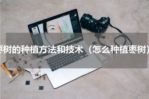 枣树的种植方法和技术（怎么种植枣树）