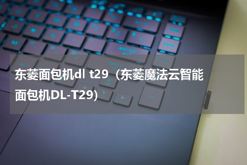 东菱面包机dl t29（东菱魔法云智能面包机DL-T29）
