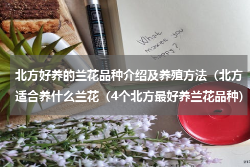 北方好养的兰花品种介绍及养殖方法（北方适合养什么兰花（4个北方最好养兰花品种）