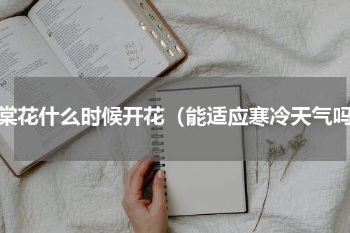 海棠花什么时候开花（能适应寒冷天气吗）