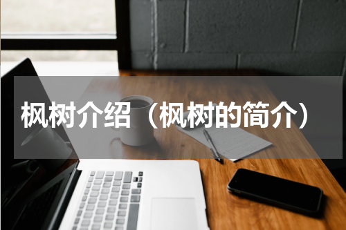 枫树介绍（枫树的简介）