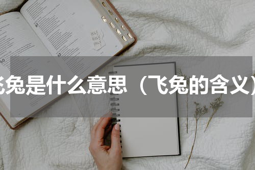 飞兔是什么意思（飞兔的含义）