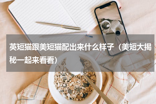 英短猫跟美短猫配出来什么样子（美短大揭秘一起来看看）