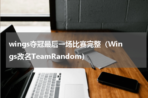 wings夺冠最后一场比赛完整（Wings改名TeamRandom）