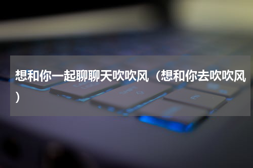 想和你一起聊聊天吹吹风（想和你去吹吹风）