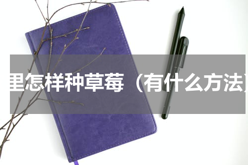 家里怎样种草莓（有什么方法）