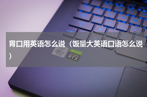 胃口用英语怎么说（饭量大英语口语怎么说）