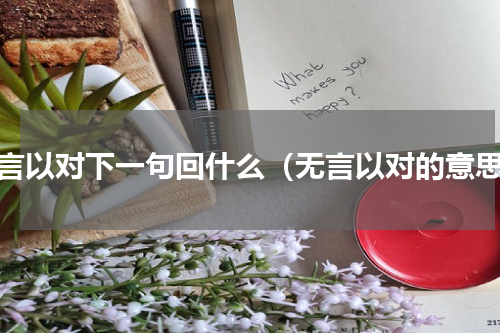 无言以对下一句回什么（无言以对的意思）