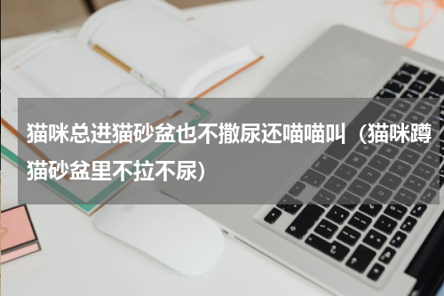 猫咪总进猫砂盆也不撒尿还喵喵叫（猫咪蹲猫砂盆里不拉不尿）