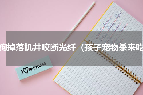 狗狗掉落机井咬断光纤（孩子宠物杀来吃）