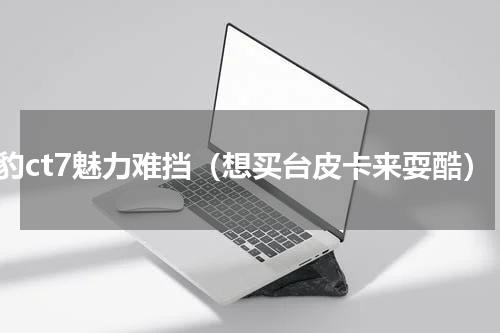 猎豹ct7魅力难挡（想买台皮卡来耍酷）