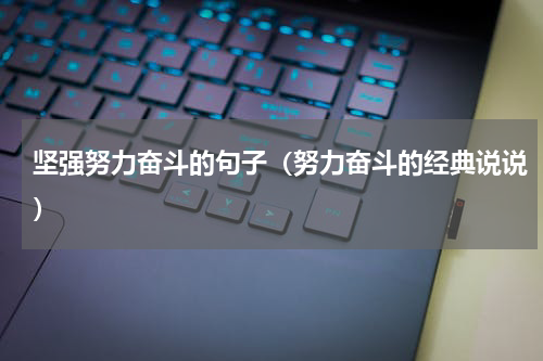 坚强努力奋斗的句子（努力奋斗的经典说说）