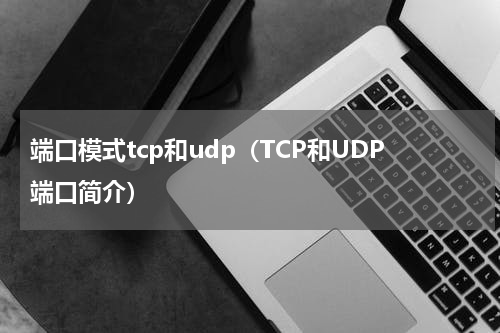 端口模式tcp和udp（TCP和UDP端口简介）