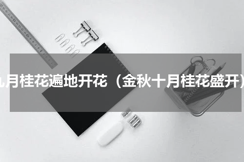 九月桂花遍地开花（金秋十月桂花盛开）