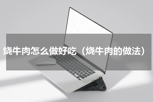 烧牛肉怎么做好吃（烧牛肉的做法）