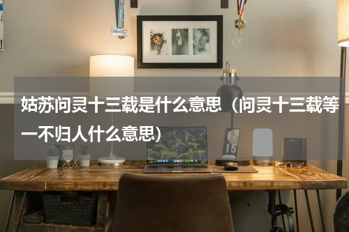 姑苏问灵十三载是什么意思（问灵十三载等一不归人什么意思）